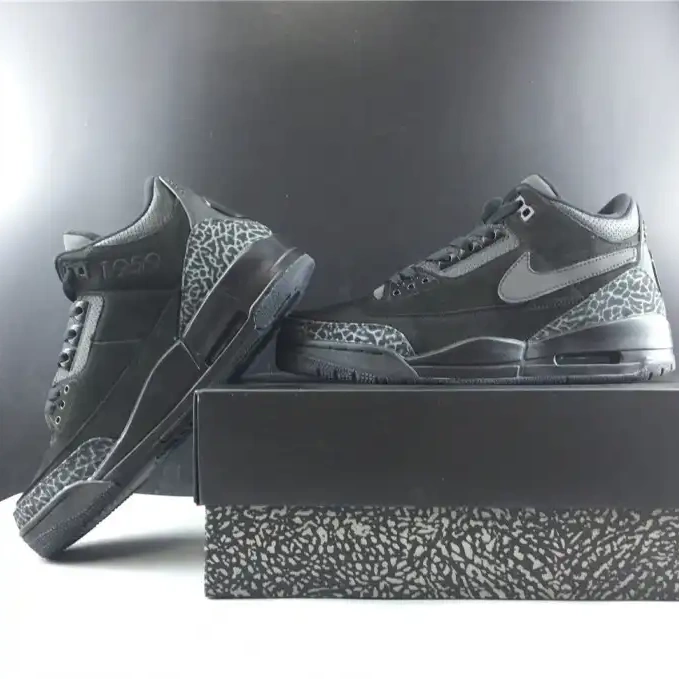 Jordan Retro 3 Duck AJ3-902027 Air Oregon 0528